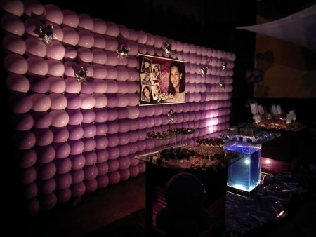 Festa 15 Anos